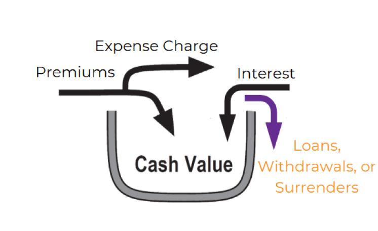 Arrows going out of cash value representing accessing funds policy loan policy withdrawal or surrender coming out