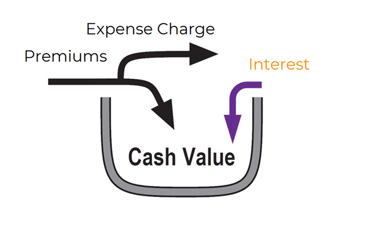 Arrows going inside cash value representing interest being added