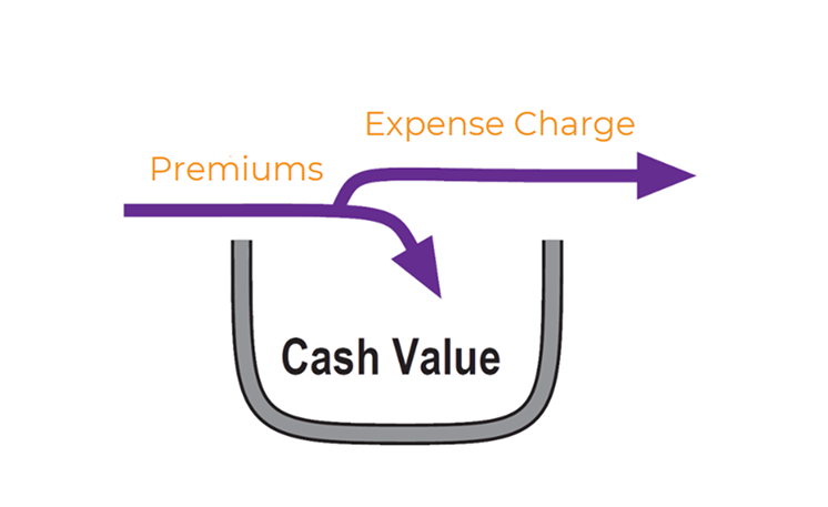 graphic showing premiums being added to cash value and expenses being deducted