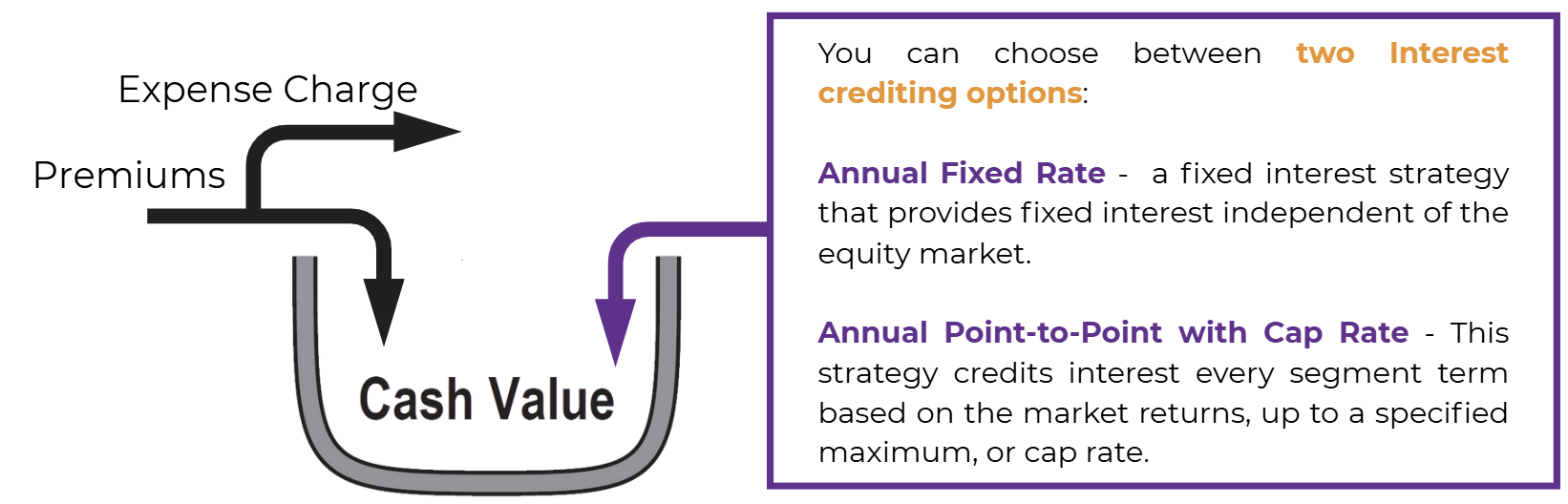 Arrows going inside cash value representing interest being added