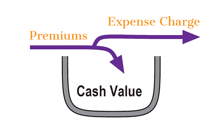 graphic showing premiums being added to cash value and expenses being deducted