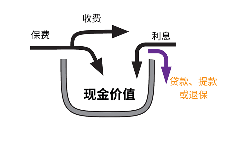 Arrows going out of cash value representing accessing funds policy loan policy withdrawal or surrender coming out