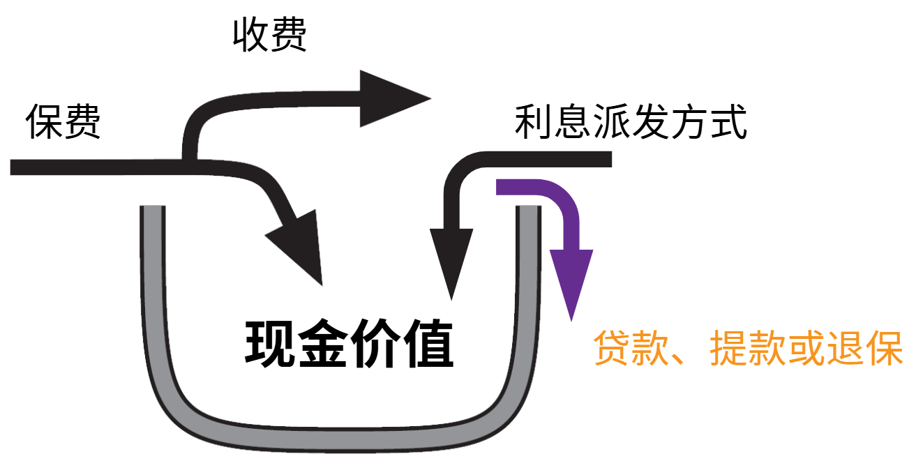 Arrows going out of cash value representing accessing funds policy loan policy withdrawal or surrender coming out