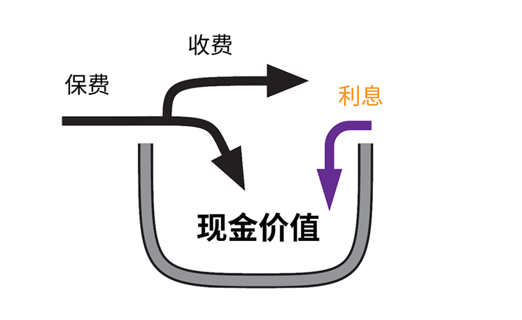 Arrows going inside cash value representing interest being added