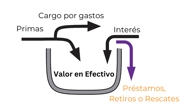 Flechas que salen del valor en efectivo representando el acceso a fondos mediante préstamo de póliza, retiro de póliza o rescisión saliendo