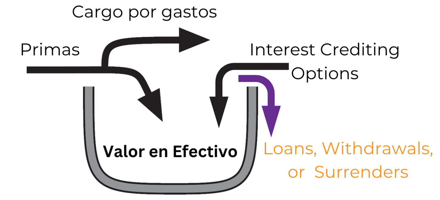 Flechas que salen del valor en efectivo representando el acceso a fondos mediante préstamo de póliza, retiro de póliza o rescisión saliendo