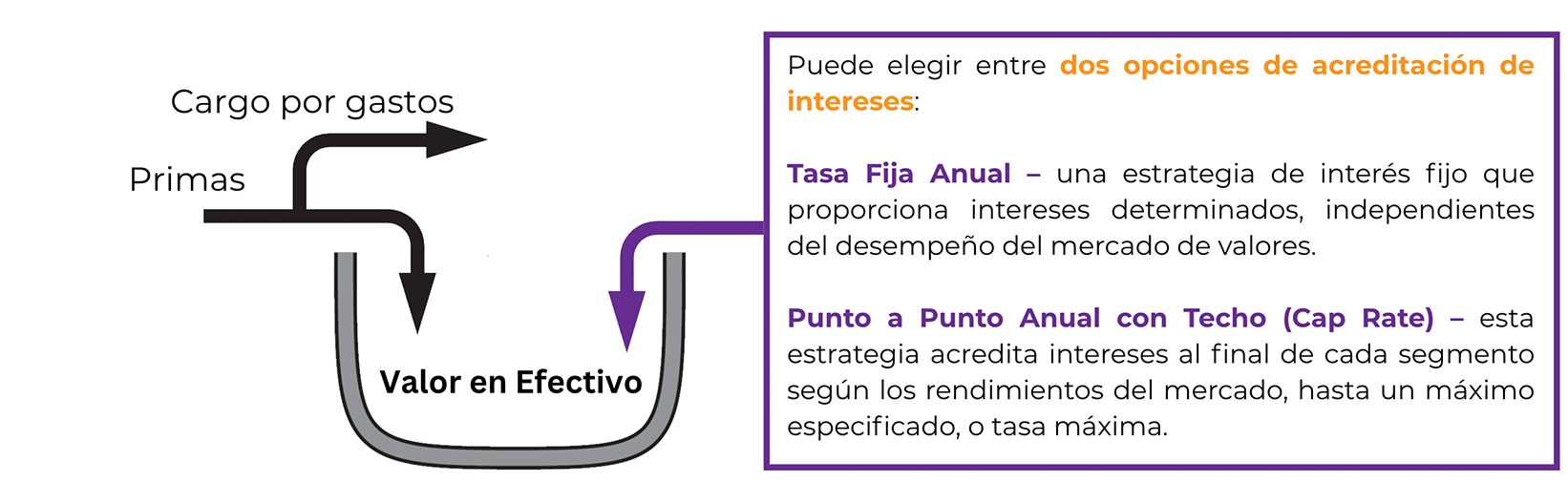 Flechas que entran en el valor en efectivo representando el interés que se añade