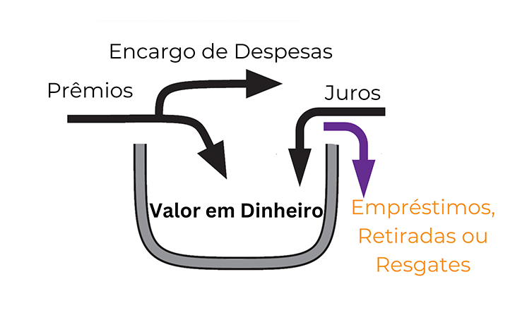 Setas saindo do valor em caixa representando acesso a fundos por meio de empréstimo de apólice, retirada de apólice ou resgate