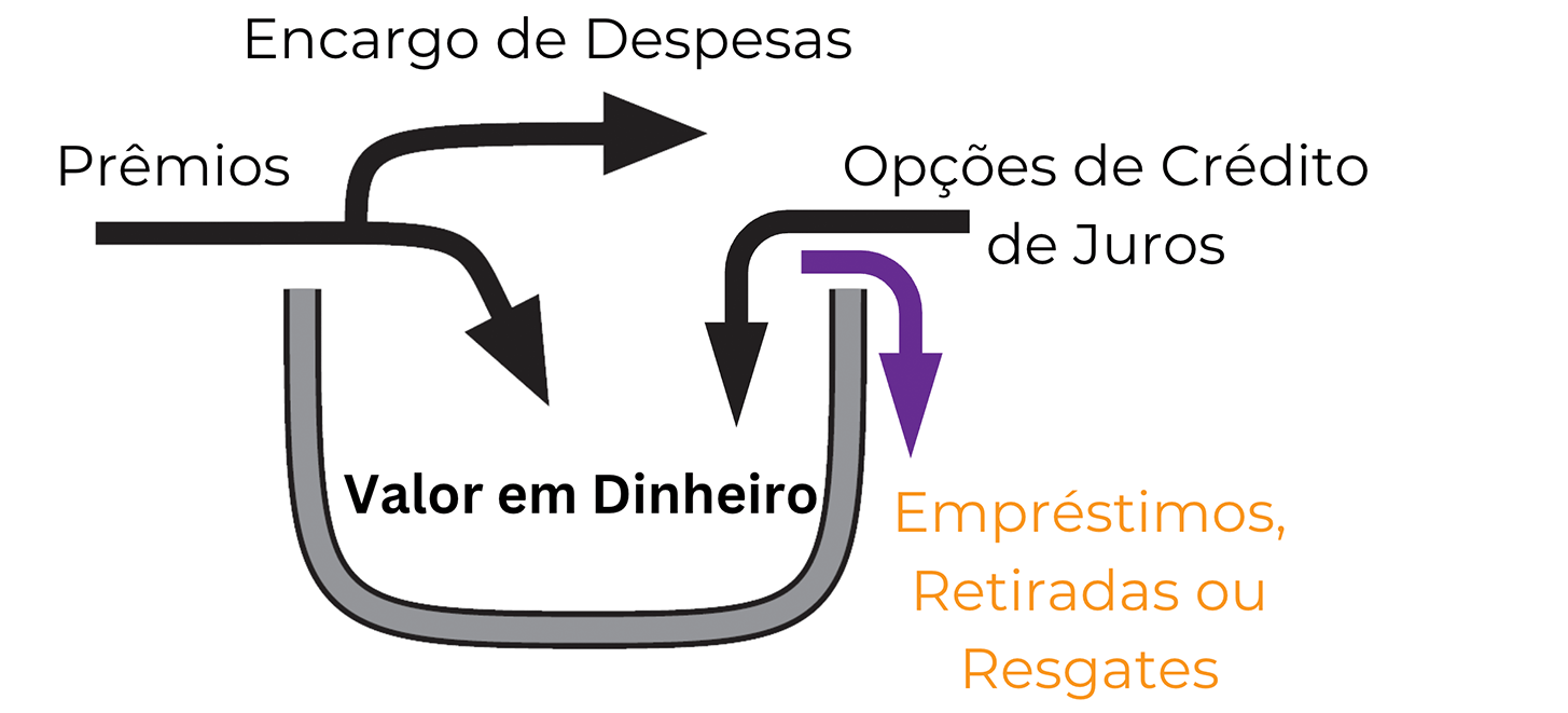 Setas saindo do valor em dinheiro representando o acesso a fundos por meio de empréstimo de apólice, retirada de apólice ou resgate
