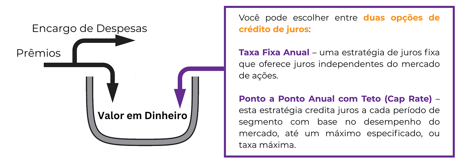 Diagrama ilustrando o fluxo em uma apólice de seguro: prêmios entrando no 