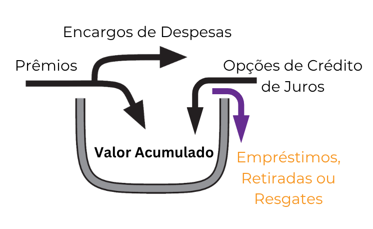 summit-images-pt-3.png